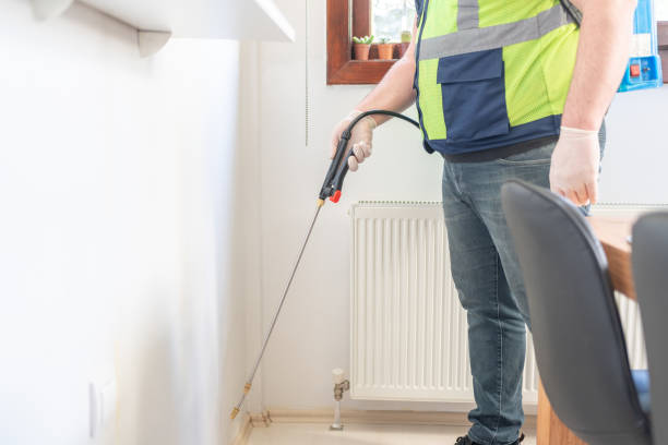 Best Wasp Removal Services  in Sesser, IL